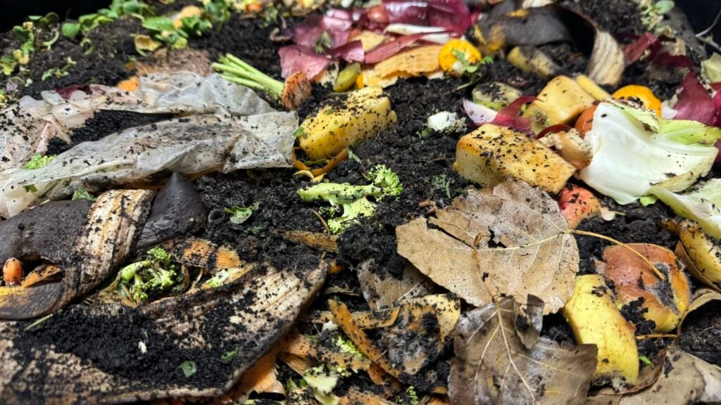 Feedstocks for a worm bin.