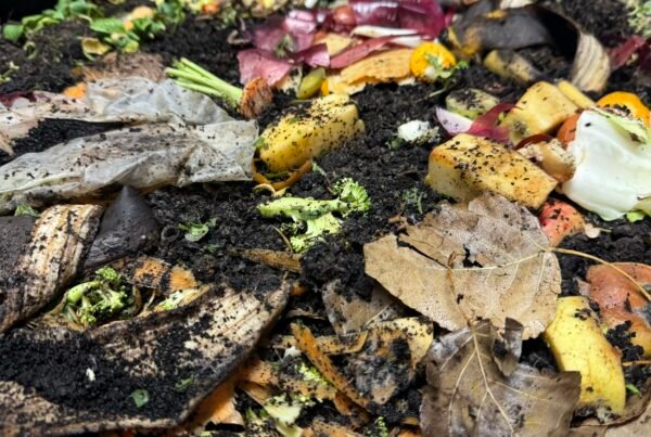 Feedstocks for a worm bin.