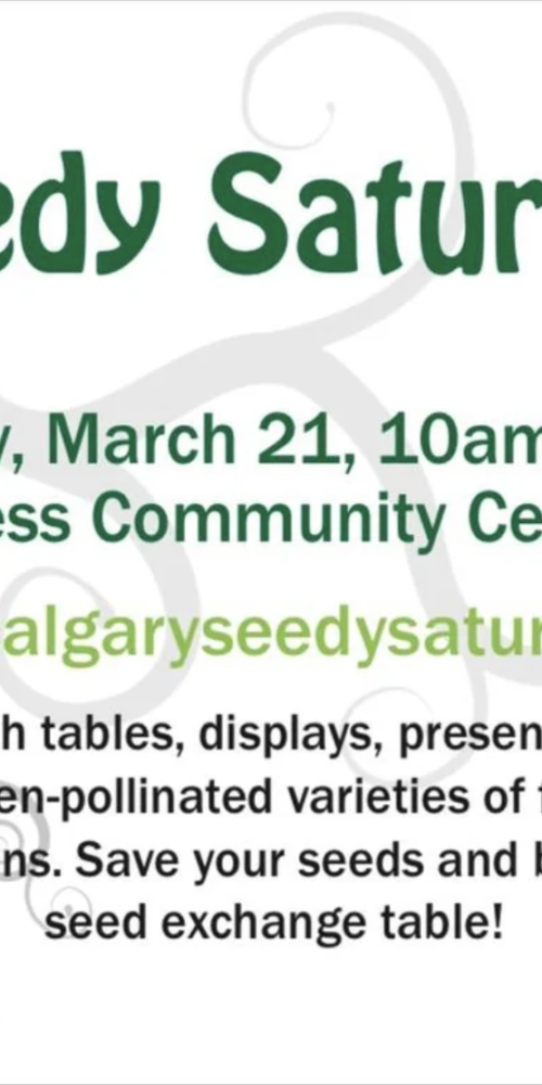 Calgary Seedy Saturday Event Details